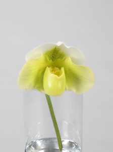 (一社)花の国日本協議会「フラワーバレンタイン賞」
