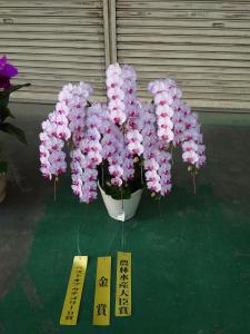 日本洋蘭生産協会